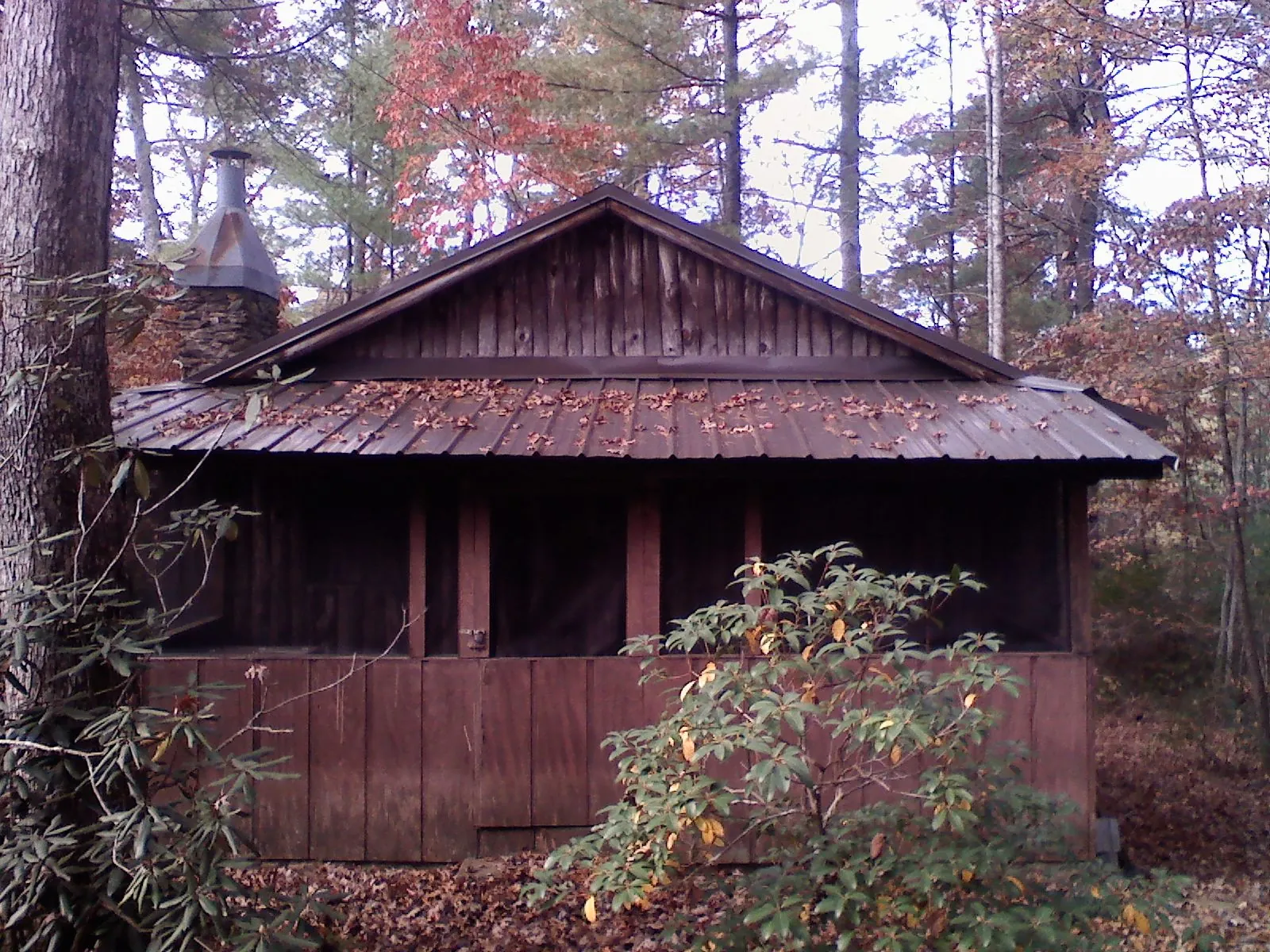 Metal roof over the screened porch of a rustic cabin in Jacksonville